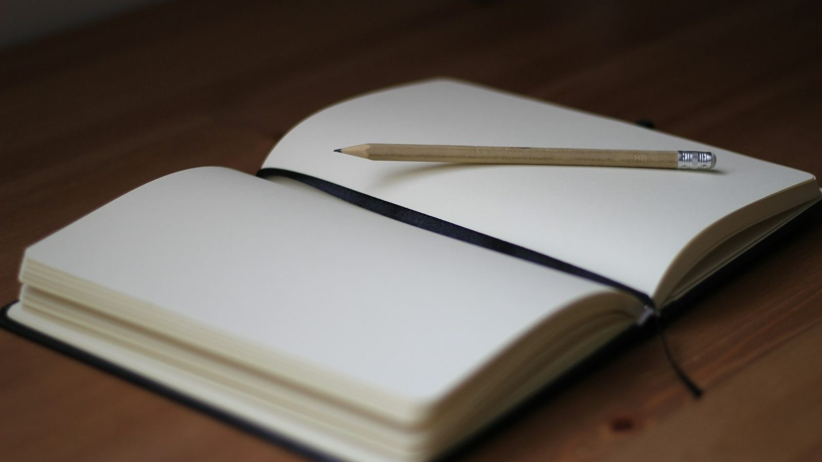 First Novel